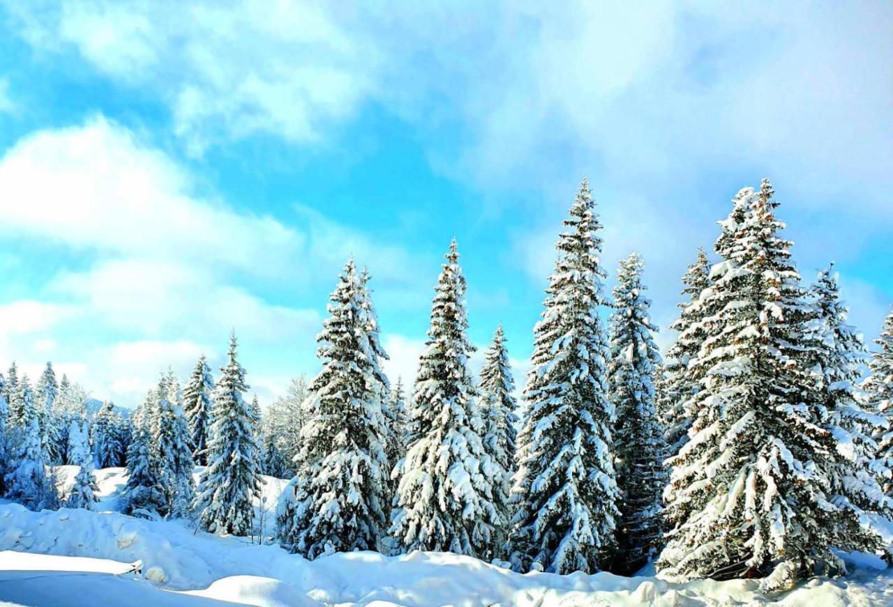 Jahorina 7Lux Exterior foto