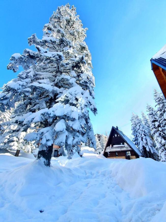 Jahorina 7Lux Exterior foto